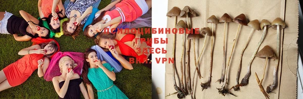 СК Балабаново