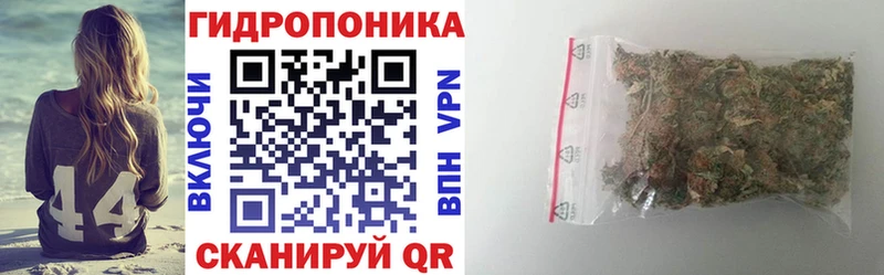Бошки Шишки планчик  Купить где  Касли 